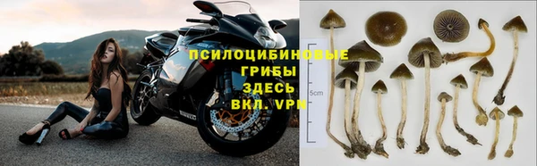 твердый Арсеньев