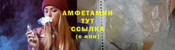 твердый Арсеньев