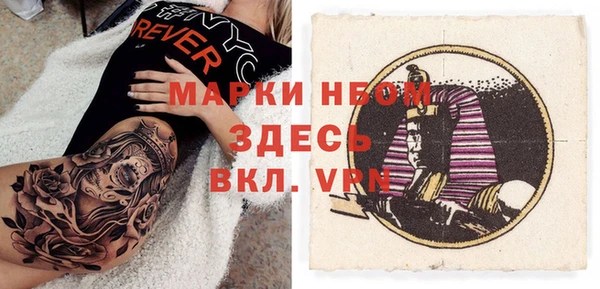 твердый Арсеньев