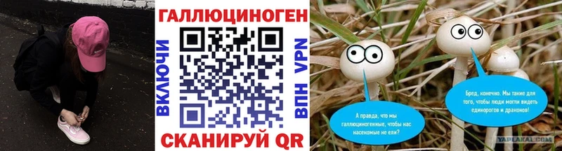 где найти наркотики  Аткарск  Галлюциногенные грибы Magic Shrooms 